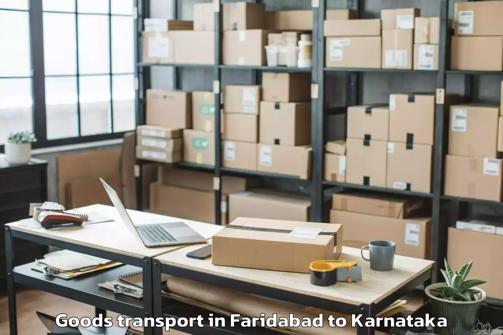 Expert Faridabad to Kodigenahalli Goods Transport